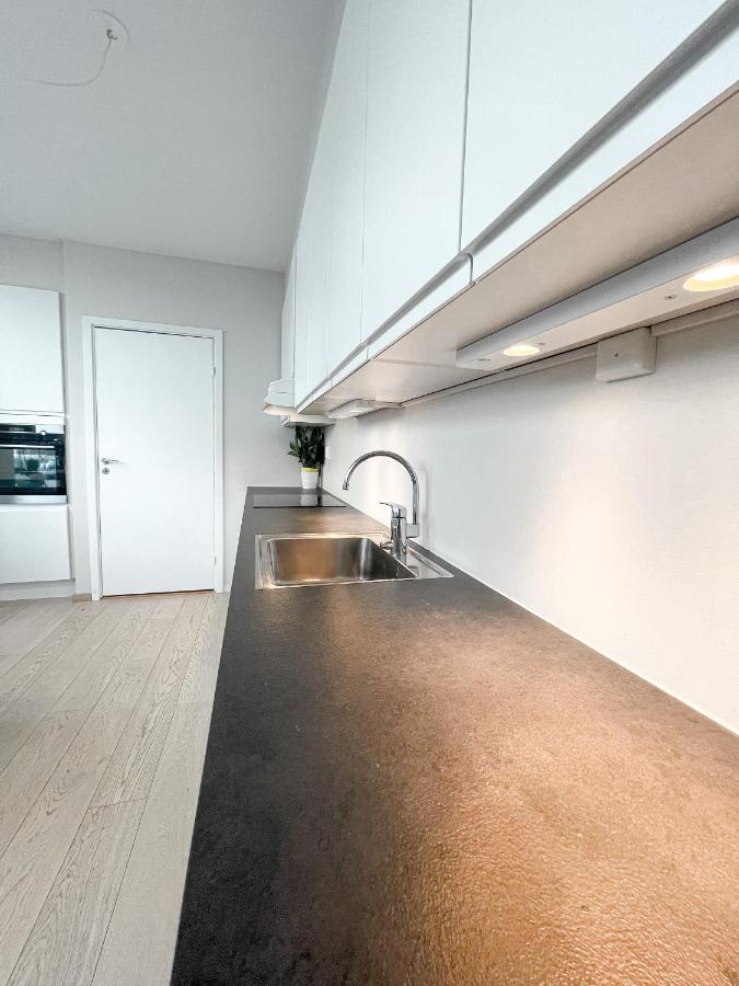 City Center Penthouse Apartment Oslo Esterno foto